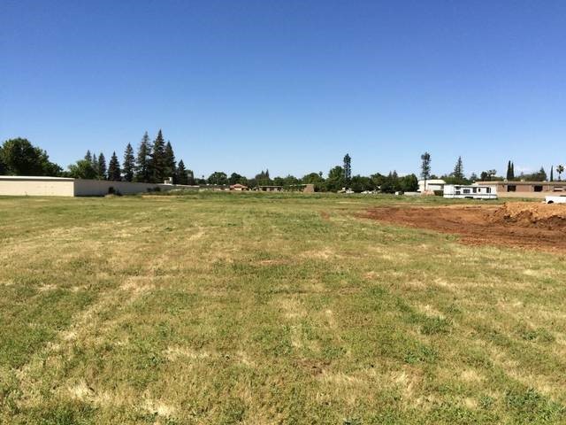 cemetery, vineyard, winery